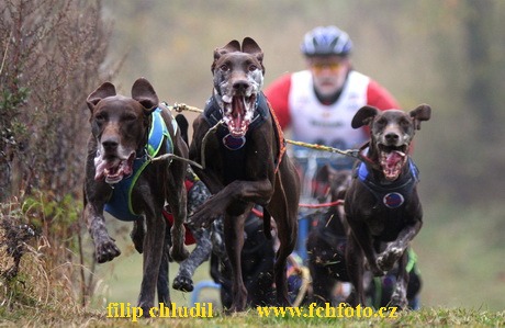 Tri studne podzim 08 - 458.jpg